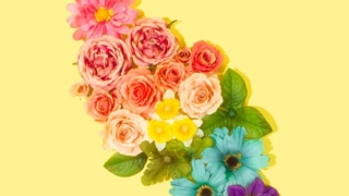 花騎士 星6交換チケット プレミアム と虹メダルを使っても良いと思う花騎士を解説 てくてく日和 花騎士 星6交換チケット プレミアム と虹メダルを使っても良いと思う花騎士を解説 てくてく日和