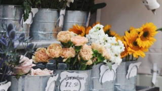 花騎士 星6交換チケット プレミアム と虹メダルを使っても良いと思う花騎士を解説 てくてく日和