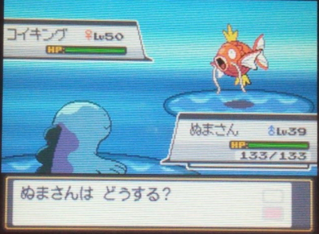 ポケモン 1匹いれば簡単に四天王に勝てる Hgssでレベル上げが面倒くさい方におすすめのポケモンを解説 てくてく日和