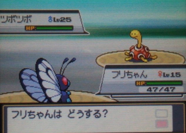 ポケモン 1匹いれば簡単に四天王に勝てる Hgssでレベル上げが面倒くさい方におすすめのポケモンを解説 てくてく日和