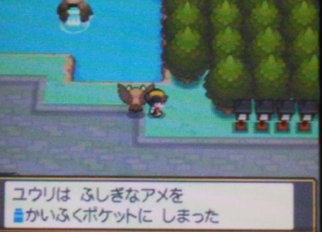 ポケモン 1匹いれば簡単に四天王に勝てる Hgssでレベル上げが面倒くさい方におすすめのポケモンを解説 てくてく日和